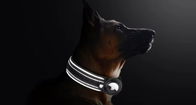 Collier GPS pour AirTag, réfléchissant